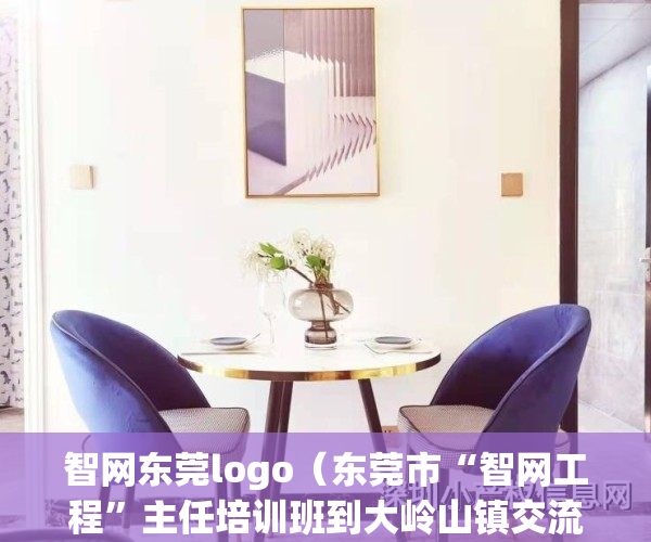 智网东莞logo（东莞市“智网工程”主任培训班到大岭山镇交流经验）(智网东莞官网)