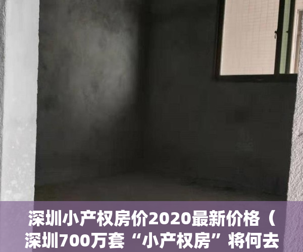 深圳小产权房价2020最新价格（深圳700万套“小产权房”将何去何从）(深圳小产权房价格走势)