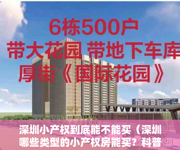 深圳小产权到底能不能买（深圳哪些类型的小产权房能买？科普各类小产权利弊！）