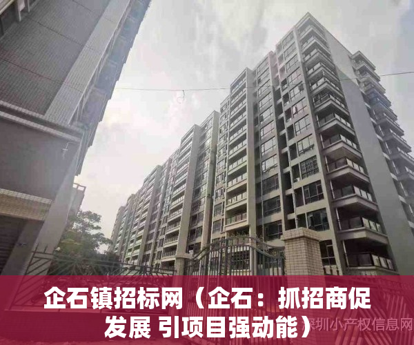 企石镇招标网（企石：抓招商促发展 引项目强动能）