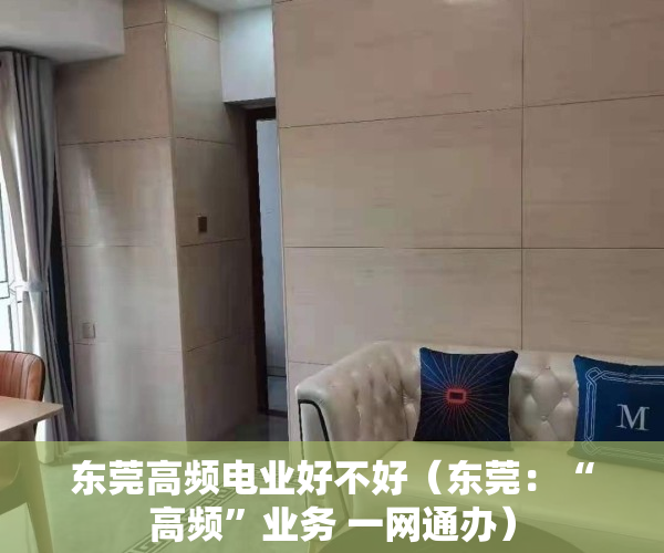 东莞高频电业好不好（东莞：“高频”业务 一网通办）