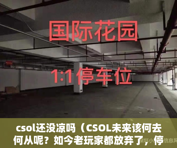 csol还没凉吗（CSOL未来该何去何从呢？如今老玩家都放弃了，停服只是时间问题）