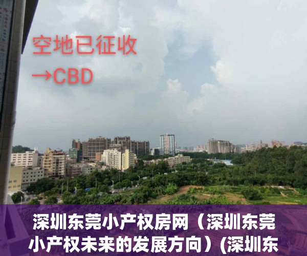 深圳东莞小产权房网（深圳东莞小产权未来的发展方向）(深圳东莞小产权房被拆后有没有补偿)