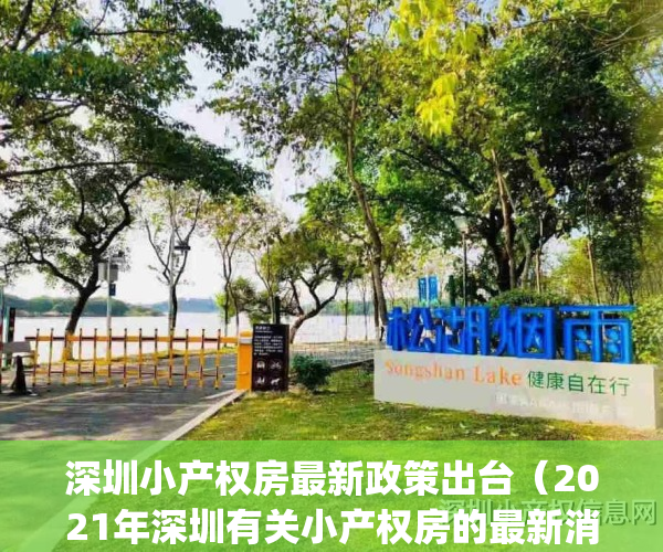 深圳小产权房最新政策出台（2021年深圳有关小产权房的最新消息！）(深圳小产权房子最新政策2021)