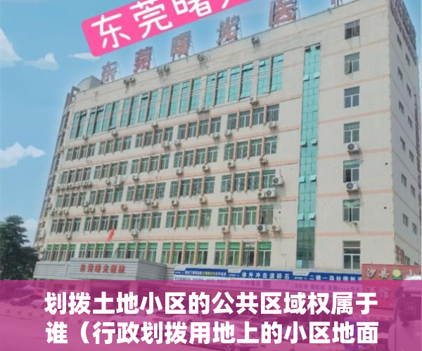 划拨土地小区的公共区域权属于谁（行政划拨用地上的小区地面停车场权属纠纷案例解析——《物业管理纠纷的裁判规则与实务总结》系列（1））