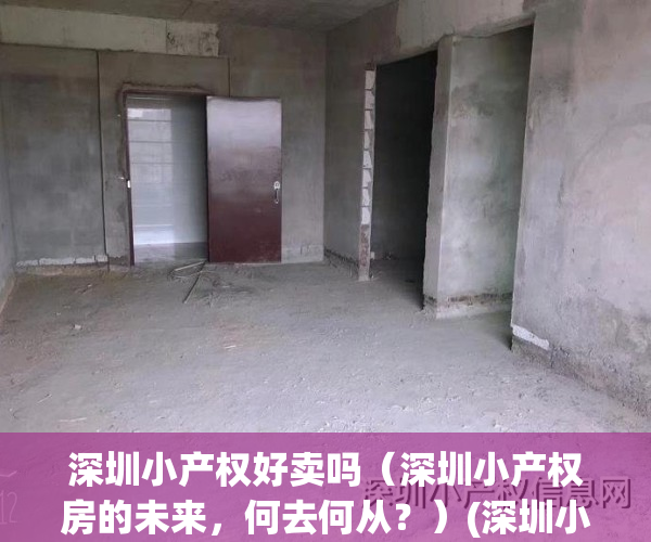 深圳小产权好卖吗（深圳小产权房的未来，何去何从？）(深圳小产权房好出手吗)