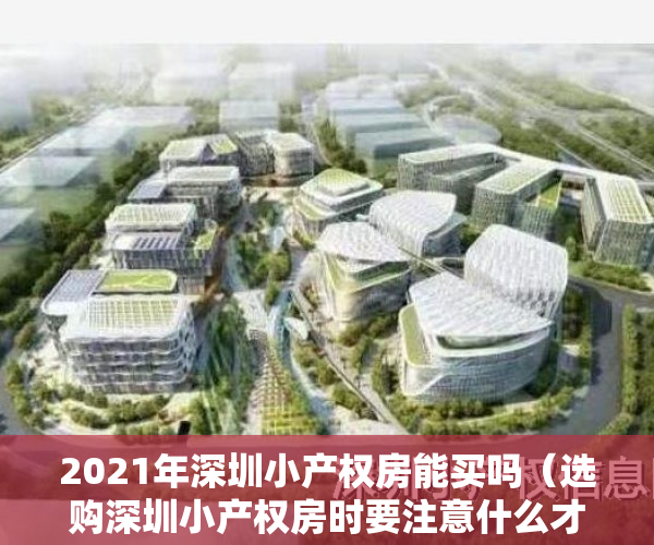 2021年深圳小产权房能买吗（选购深圳小产权房时要注意什么才能避免损失？）
