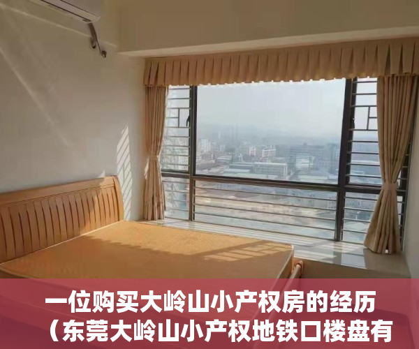 一位购买大岭山小产权房的经历（东莞大岭山小产权地铁口楼盘有哪些）