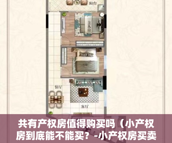 共有产权房值得购买吗（小产权房到底能不能买？-小产权房买卖中的法律问题解读）
