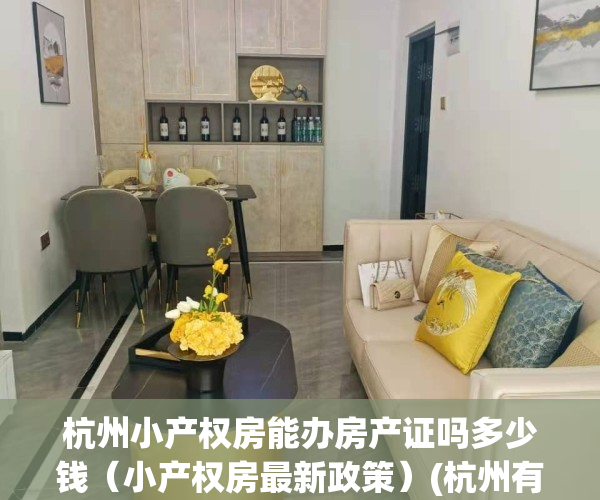 杭州小产权房能办房产证吗多少钱（小产权房最新政策）(杭州有小户型的房子卖吗)