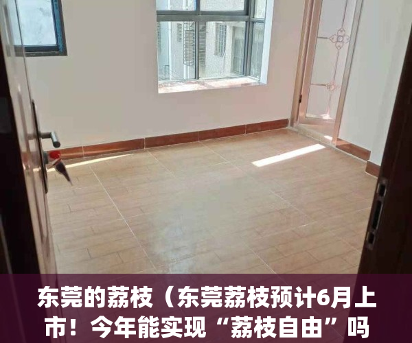 东莞的荔枝（东莞荔枝预计6月上市！今年能实现“荔枝自由”吗？）(东莞荔枝叫什么)