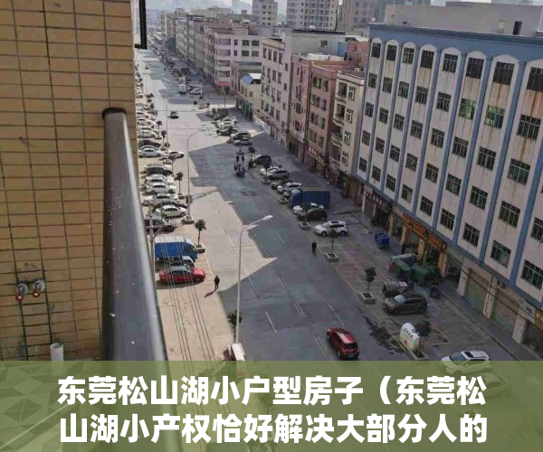 东莞松山湖小户型房子（东莞松山湖小产权恰好解决大部分人的住房问题!）