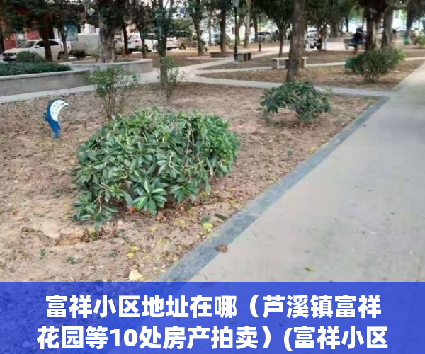 富祥小区地址在哪（芦溪镇富祥花园等10处房产拍卖）(富祥小区属于哪个街道)