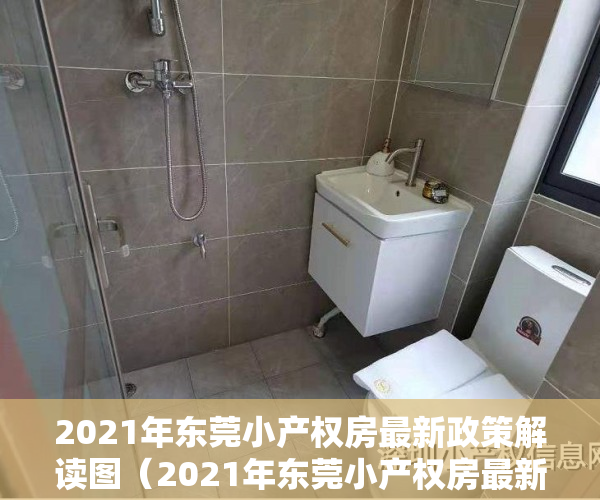 2021年东莞小产权房最新政策解读图（2021年东莞小产权房最新政策解读）