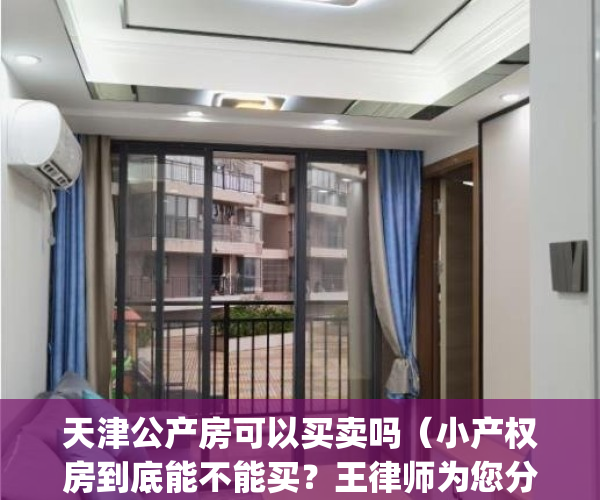 天津公产房可以买卖吗（小产权房到底能不能买？王律师为您分析）(天津公产房子能买吗)
