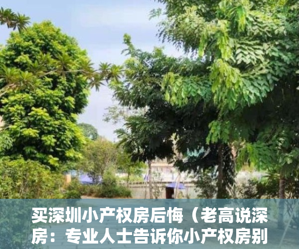 买深圳小产权房后悔（老高说深房：专业人士告诉你小产权房别乱买，否则肠子都悔青）