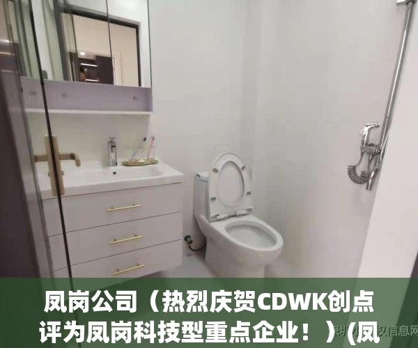 凤岗公司（热烈庆贺CDWK创点评为凤岗科技型重点企业！）(凤岗门户)