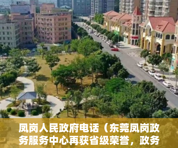 凤岗人民政府电话（东莞凤岗政务服务中心再获省级荣誉，政务服务品牌越擦越亮）