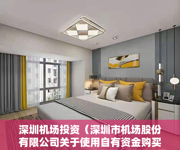 深圳机场投资（深圳市机场股份有限公司关于使用自有资金购买投资理财产品的进展公告）