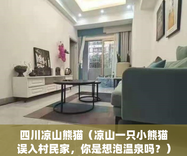 四川凉山熊猫（凉山一只小熊猫误入村民家，你是想泡温泉吗？）(四川乐山熊猫)