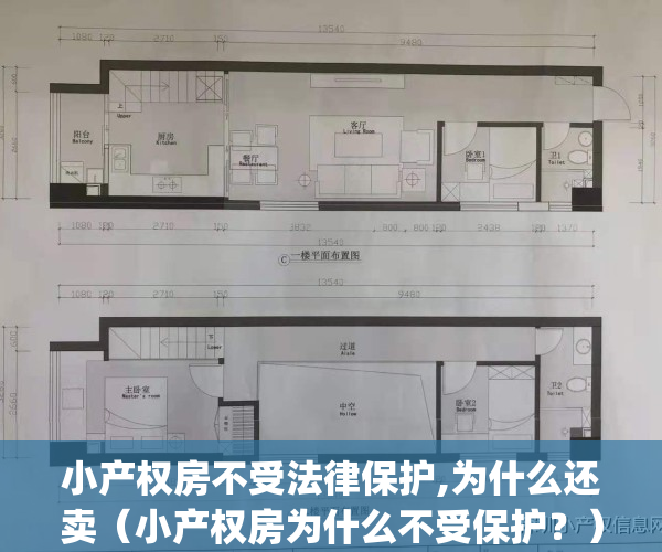 小产权房不受法律保护,为什么还卖（小产权房为什么不受保护？）(为什么小产权房是非法的国家还允许买卖)