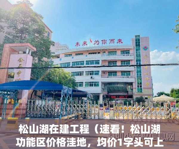 松山湖在建工程（速看！松山湖功能区价格洼地，均价1字头可上车）(松山湖新规划)