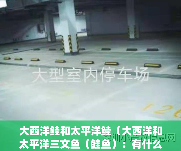 大西洋鲑和太平洋鲑（大西洋和太平洋三文鱼（鲑鱼）：有什么区别？）(大西洋鲑和太平洋鲑哪个好)