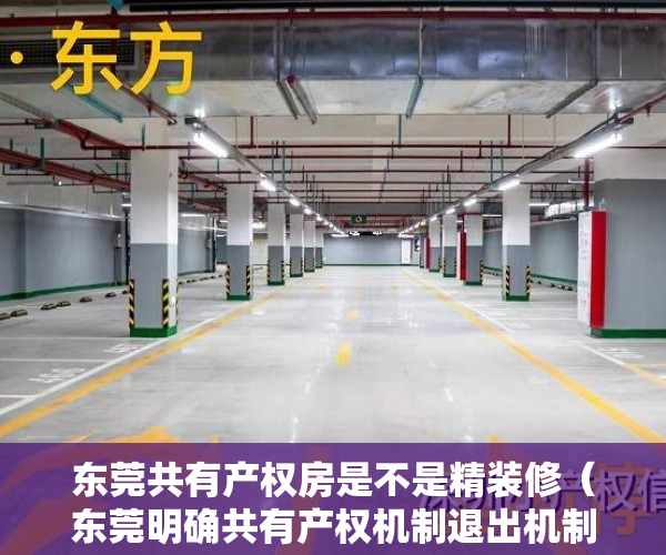 东莞共有产权房是不是精装修（东莞明确共有产权机制退出机制，购买新商品房需退出原有共有产权房）