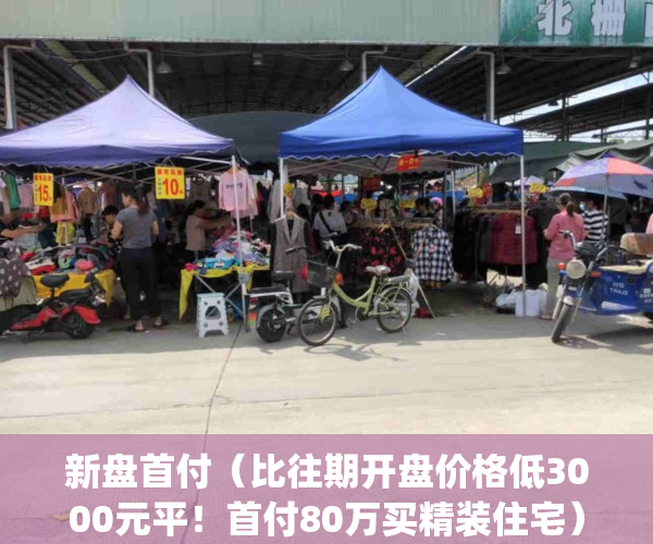 新盘首付（比往期开盘价格低3000元平！首付80万买精装住宅）(新楼盘首付比例)