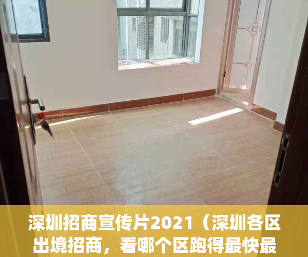 深圳招商宣传片2021（深圳各区出境招商，看哪个区跑得最快最远？）(赴深圳招商)