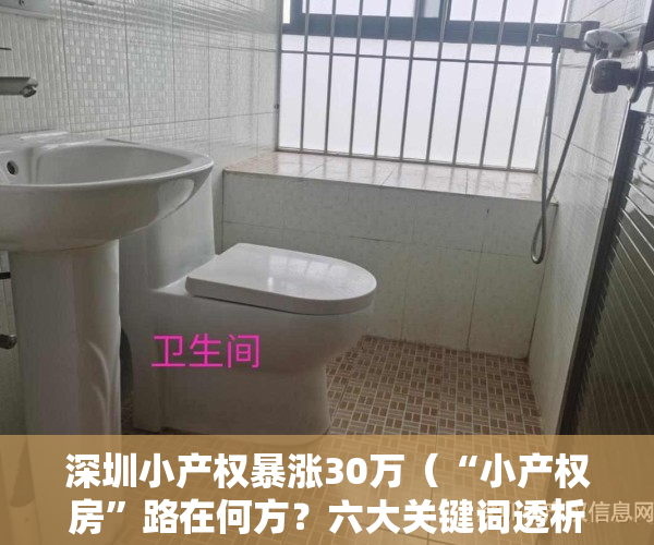 深圳小产权暴涨30万（“小产权房”路在何方？六大关键词透析深圳地产④）