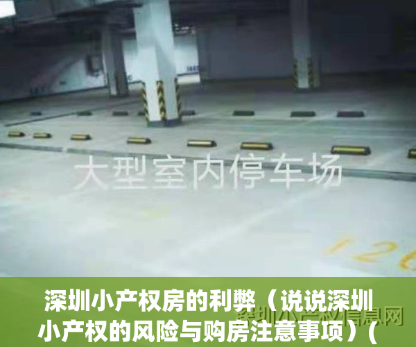 深圳小产权房的利弊（说说深圳小产权的风险与购房注意事项）(2021年深圳小产权房怎么处理)