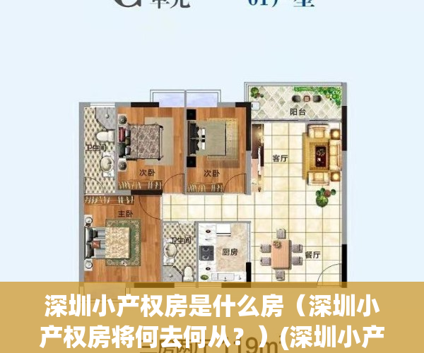 深圳小产权房是什么房（深圳小产权房将何去何从？）(深圳小产权房值得买吗?)