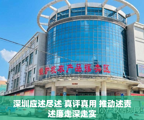 深圳应述尽述 真评真用 推动述责述廉走深走实