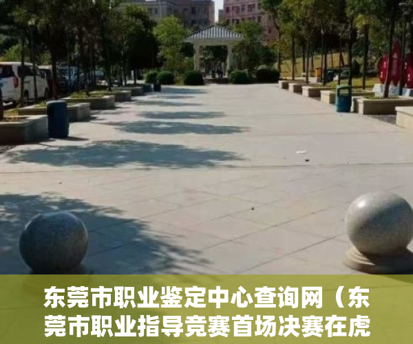 东莞市职业鉴定中心查询网（东莞市职业指导竞赛首场决赛在虎门举行）