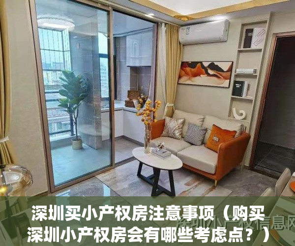 深圳买小产权房注意事项（购买深圳小产权房会有哪些考虑点？）(深圳购买小产权房需要什么条件)