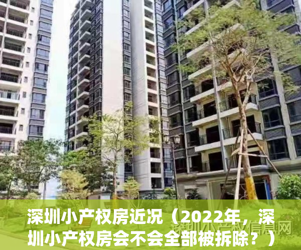 深圳小产权房近况（2022年，深圳小产权房会不会全部被拆除？）(深圳小产权会拆吗)