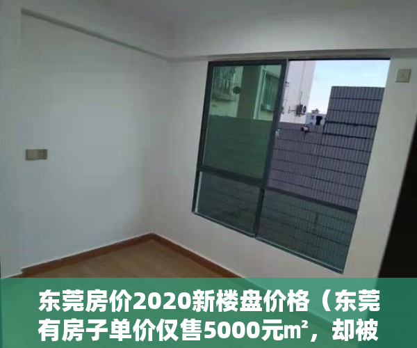 东莞房价2020新楼盘价格（东莞有房子单价仅售5000元㎡，却被相关部门查封！因为）