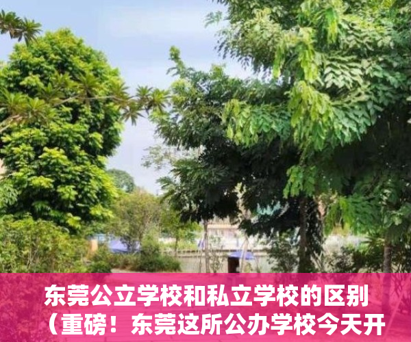 东莞公立学校和私立学校的区别（重磅！东莞这所公办学校今天开建！可提供5580个学位！）