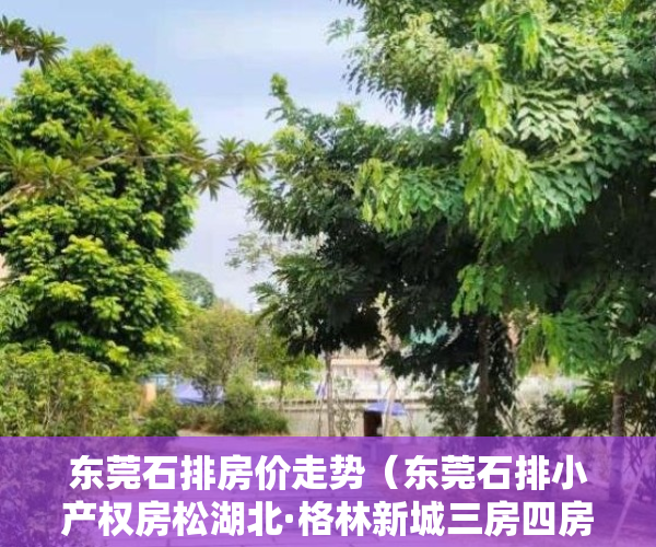 东莞石排房价走势（东莞石排小产权房松湖北·格林新城三房四房居家户型）