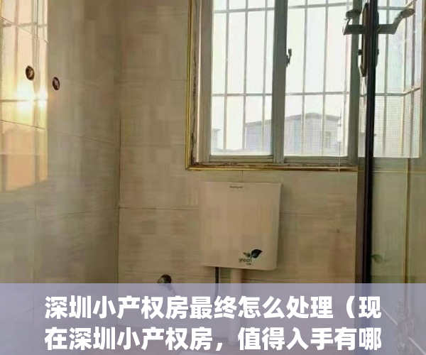 深圳小产权房最终怎么处理（现在深圳小产权房，值得入手有哪些）(深圳小产权以后会怎么处理)