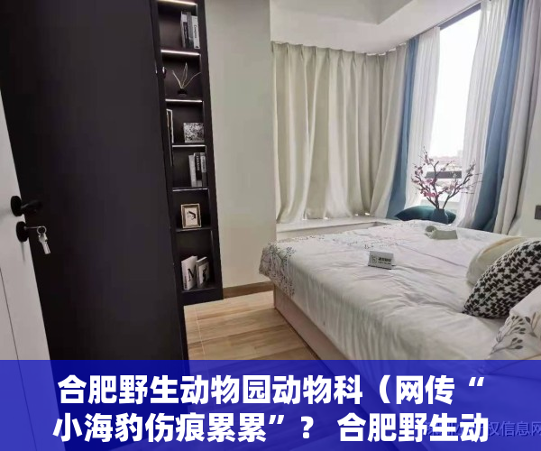 合肥野生动物园动物科（网传“小海豹伤痕累累”？ 合肥野生动物园最新回应）