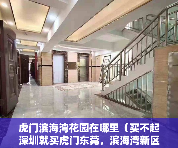 虎门滨海湾花园在哪里（买不起深圳就买虎门东莞，滨海湾新区一个新的前海）
