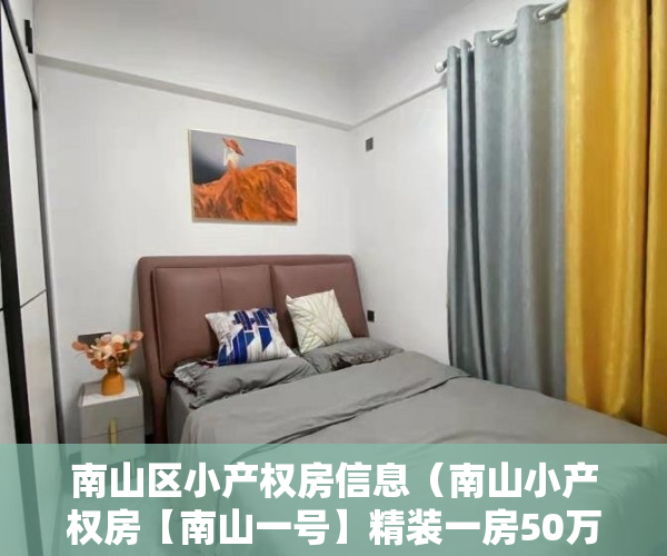 南山区小产权房信息（南山小产权房【南山一号】精装一房50万起 两房150万起 三房190万起 带停车场 首付五成 分期五年）
