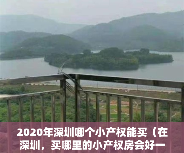 2020年深圳哪个小产权能买（在深圳，买哪里的小产权房会好一点？怎么选择区域？）