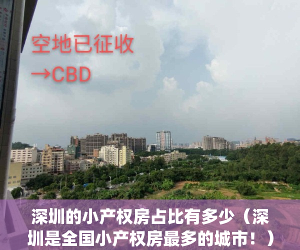 深圳的小产权房占比有多少（深圳是全国小产权房最多的城市！）(深圳小产权房总面积)