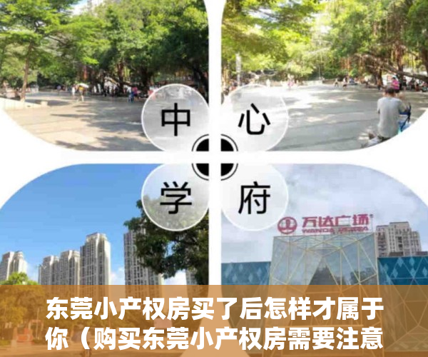 东莞小产权房买了后怎样才属于你（购买东莞小产权房需要注意哪些问题）