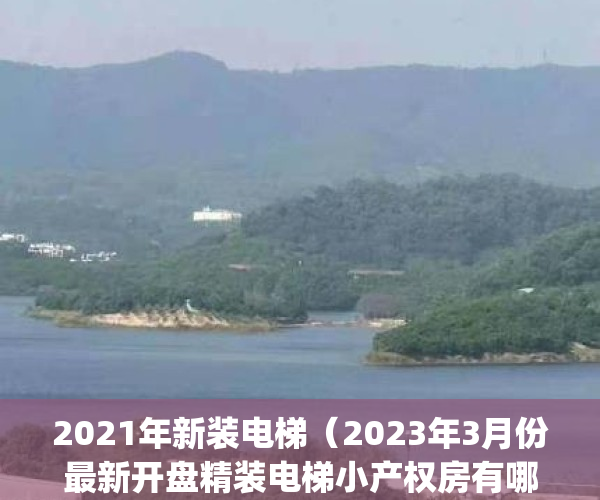 2021年新装电梯（2023年3月份最新开盘精装电梯小产权房有哪些）(最新装电梯政策)