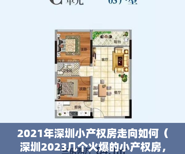 2021年深圳小产权房走向如何（深圳2023几个火爆的小产权房，值得看看）(专家谈深圳小产权房的未来)