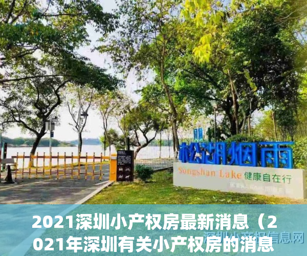 2021深圳小产权房最新消息（2021年深圳有关小产权房的消息）(深圳小产权房最新政策出台)